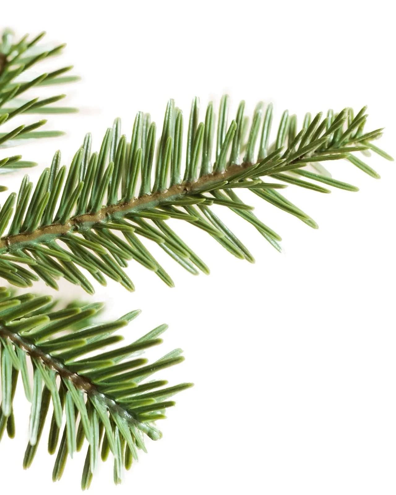 Árvore de Natal Slim Alpine TVN21