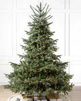 Árvore de Natal European Fir 1,80 m com Galhos Articulados e Leds TVN03