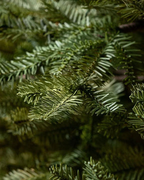 Árvore de Natal Verde Premium com Galhos Articulados TVN13